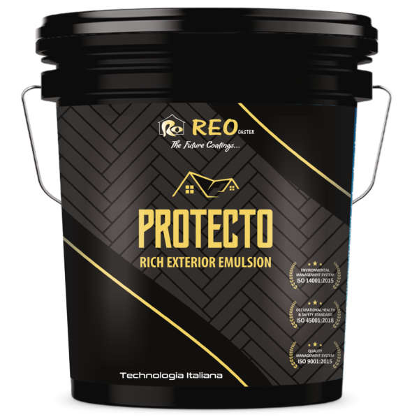 Protecto Rich Exterior Emulsion